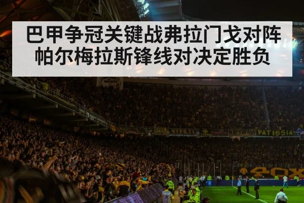 巴甲争冠关键战弗拉门戈对阵帕尔梅拉斯锋线对决定胜负